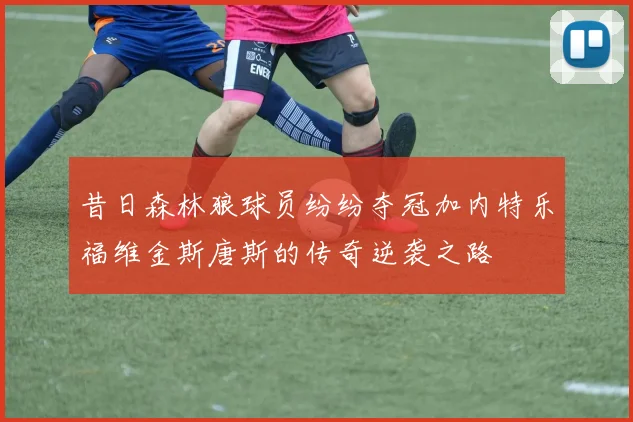 昔日森林狼球员纷纷夺冠加内特乐福维金斯唐斯的传奇逆袭之路